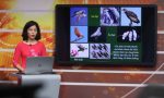 Lịch dạy học trên truyền hình Hà Nội