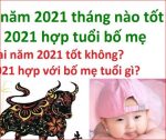 Sinh con năm 2021 tốt không Những tháng tốt sinh con