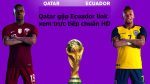 Qatar gặp Ecuador link xem trực tiếp chuẩn HD