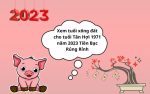 Xem tuổi xông đất cho tuổi Tân Hợi 1971 năm 2023 Tiền Bạc Rủng Rỉnh